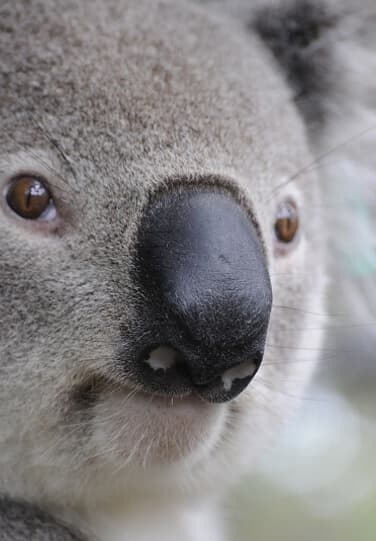 Picture of the author