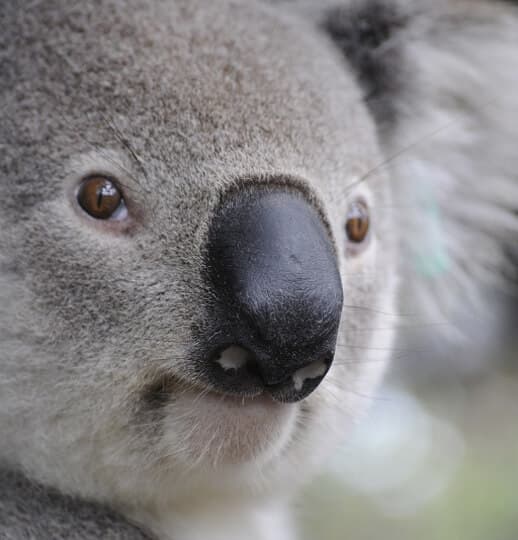 Picture of the author