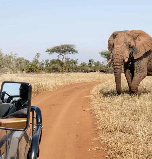 TANZANIA